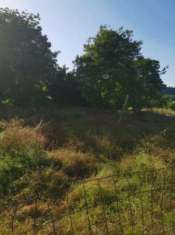 Foto Pozzuoli via Petrarsa Ampio appezzamento terreno con ruderi sovrastanti