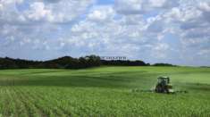 Foto PRELATO: Proponiamo in vendita terreno agricolo di 7,5 ettari situato nella splendida zona del prelato, nel comune di fano. questa  un'opportunit  un