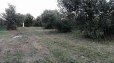Foto Privato terreno edificabile mq3630