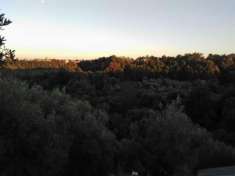 Foto Privato vende terreno Edificabile /Agricolo mq 3630 Euro 85.000
