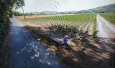 Foto Puglianello (BN) Terreno Agricolo in c/da Molino