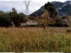 Foto R.G.E. 106/2022 Castrovillari