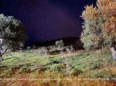 Foto R.G.E. 120/2022 Castrovillari