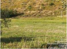 Foto R.G.E. 154/2021 Castrovillari