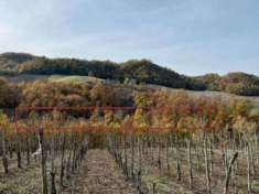 Foto R.G.E. 16/2021 Pavia