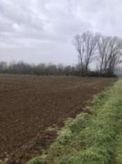 Foto R.G.E. 258/2024 Pavia