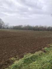 Foto R.G.E. 258/2024 Pavia