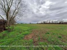 Foto R.G.E. 266/2023 Pavia