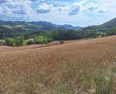 Foto R.G.E. 279/2023 Pavia