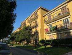 Foto R.G.E. 325/2023 Verona