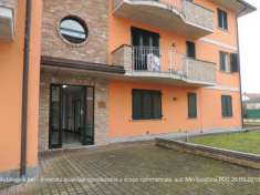 Foto R.G.E. 428/2024 Pavia