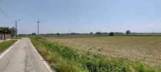 Foto R.G.E. 489/2022 Pavia