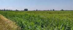 Foto R.G.E. 489/2022 Pavia