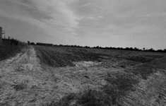 Foto R.G.E. 57/2024 Verona