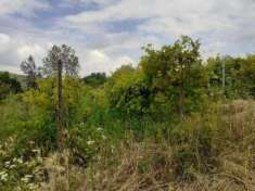 Foto R.G.E. 79/2024 Pavia