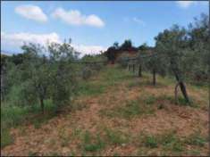 Foto R.G.E. 92/2022 Castrovillari