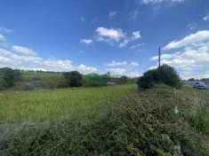 Foto Rif. 9230 - Terreno agricolo sulla SP 25