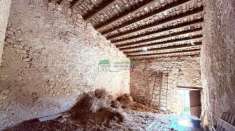 Foto Rif. 9817 - Azienda Agricola