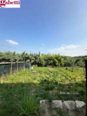 Foto Rif. S2537 - Siena  San Giovanni a Cerreto - Ferraiolo - giardino, restaurata s