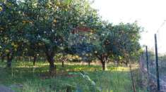 Foto Rif30721341-38 - Terreno Agricolo in Vendita a Giarre - Macchia di 21029 mq