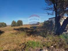 Foto Rif30721437-34 - Terreno Agricolo in Vendita a Caltagirone - Granieri di 80000 mq