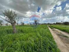 Foto Rif33661168-48 - Terreno Agricolo in Vendita a Pachino di 14110 mq