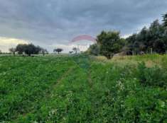 Foto Rif40001039-53 - Terreno Agricolo in Vendita a Vittoria di 64983 mq