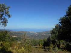 Foto Rudere con terreno a San Martino