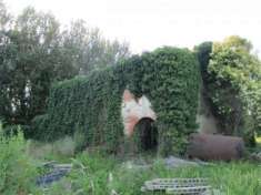 Foto Rust ind alto 118 - Rustico/Casale a Altopascio