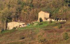 Foto RUSTICI ISOLATI CON TERRENO E BOSCO