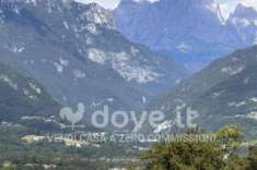 Foto Rustico / Casale di 400 m con pi di 5 locali e box auto in vendita a Belluno [rif. DV-4891-2]