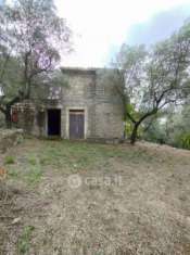 Foto Rustico