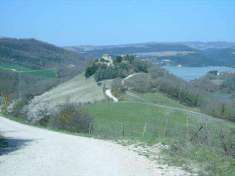 Foto Rustico casale in Vendita, 1 Locale, 1 mq (BASCHI)