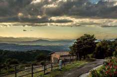 Foto Rustico casale in Vendita, 1 Locale, 70 mq (SCANSANO POLVERAIA)