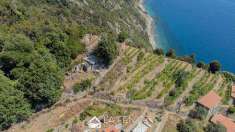 Foto Rustico casale in Vendita, 2 Locali, 64 mq (RIOMAGGIORE)