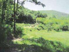 Foto Rustico casale in Vendita, 3 Locali, 1 Camera, 75 mq (MONTECATIN