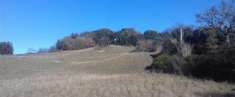 Foto Rustico casale in Vendita, pi di 6 Locali, 3 Camere, 180 mq (PO