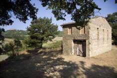 Foto Rustico casale in Vendita, pi di 6 Locali, 330 mq (CHIUSDINO)