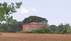 Foto Rustico casale in Vendita, pi di 6 Locali, 400 mq (CASTIGLIONE