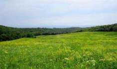 Foto Rustico casale in Vendita, pi di 6 Locali, 6 Camere, 400 mq (CA