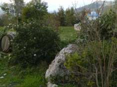 Foto RUSTICO CON TERRENO DI MQ 5200 CIRCA