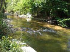 Foto Rustico ex mulino in sassi vic.ze ruscello con terreno