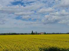 Foto RUSTICO in Vendita, 1 Locale, 200 mq, FOSSOMBRONE