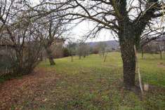 Foto RUSTICO in Vendita, pi di 6 Locali, 210 mq, GIAVERA DEL MONTELL