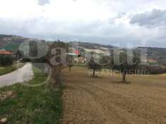Foto Rustico in vendita a Acquaviva Picena
