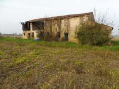 Foto Rustico in vendita a Agugliaro