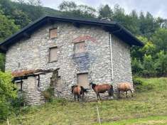 Foto Rustico in vendita a Albino