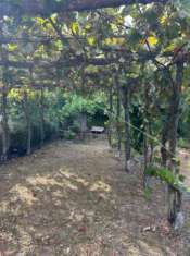Foto Rustico in vendita a Ameglia