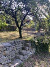 Foto Rustico in vendita a Ameglia