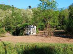 Foto Rustico in vendita a Arcola